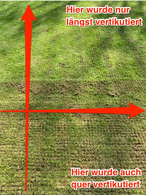 Rasen richtig vertikutieren – FAH